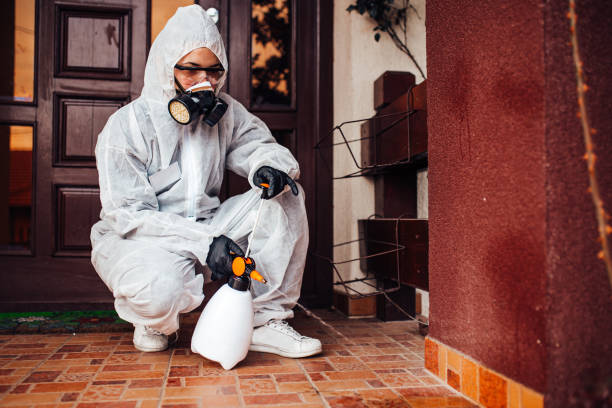 Reliable Bed Bug Control contractor in Odessa, FL by Nex Pest Control