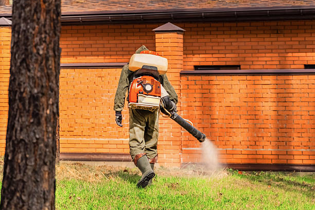 Trusted Ant Control service in Odessa, FL - Nex Pest Control